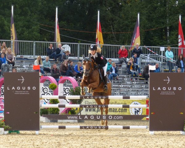 jumper Dolly K 2 (German Riding Pony, 2011, from Dream of Lord)