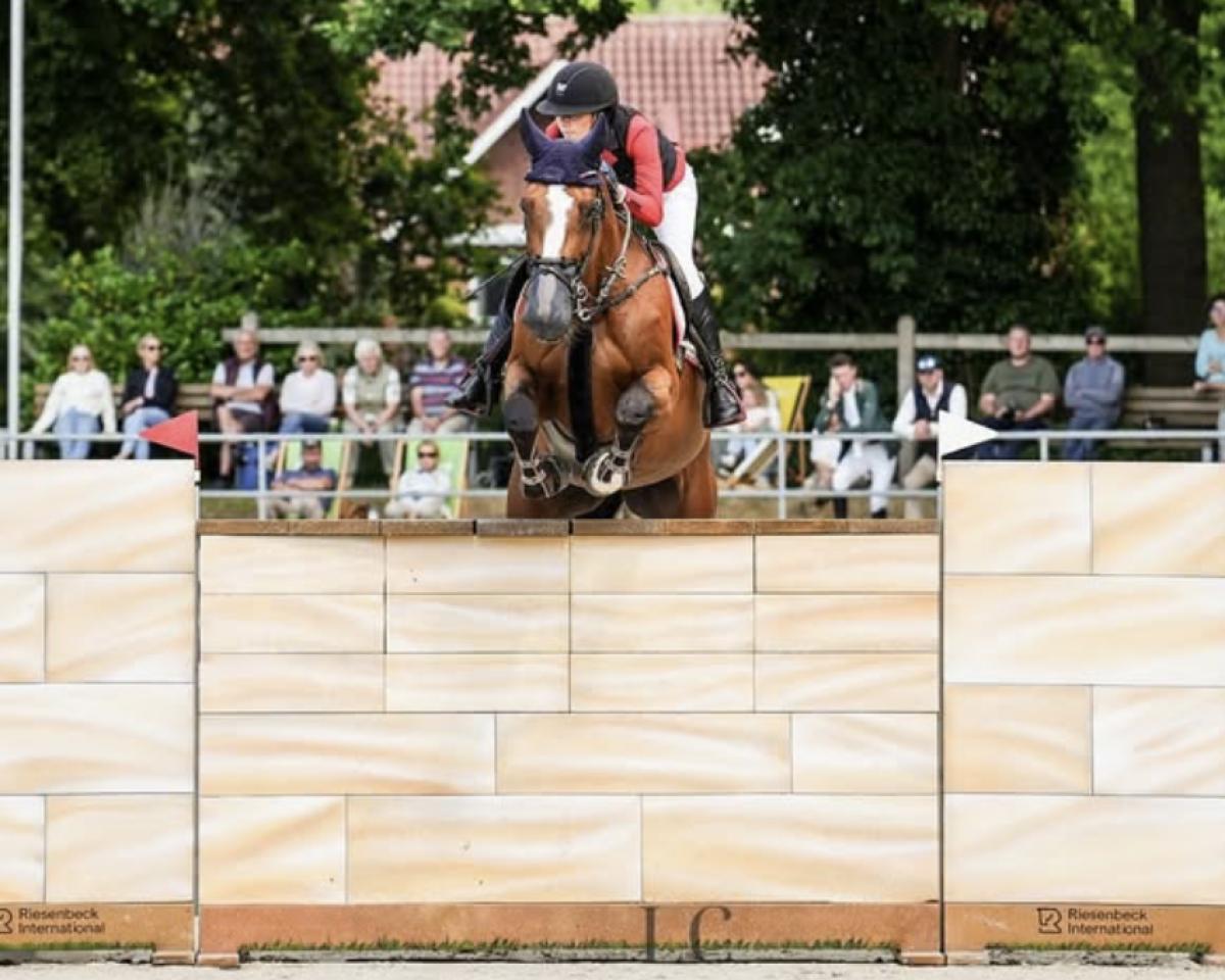 Springpferd Shqely (Slowakisches Warmblut, 2014, von Guidam Sohn)