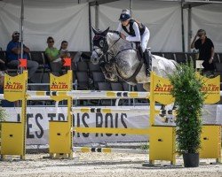 jumper Ona van het Indihof (Belgian Warmblood, 2014, from Deauville van T&L)
