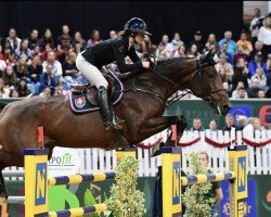 Cavallo da salto Lychee Martini (KWPN (Warmblood olandese), 2016, di Drogba Z)