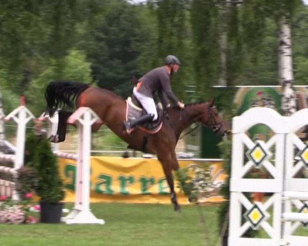 Großes Sommerturnier in Hille 2014