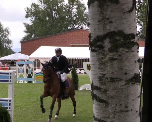 Großes Sommerturnier in Hille 2014
