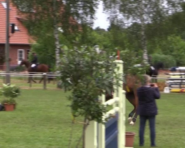 Großes Sommerturnier in Hille 2014