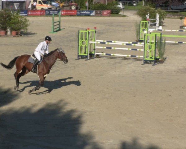 Reitturnier Oberderdingen 2025