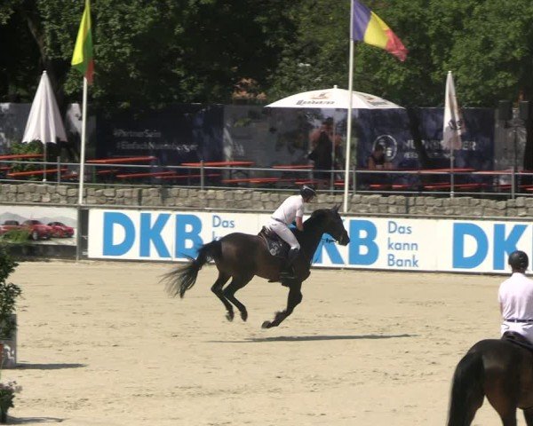 Reitturnier Görlitz 2025