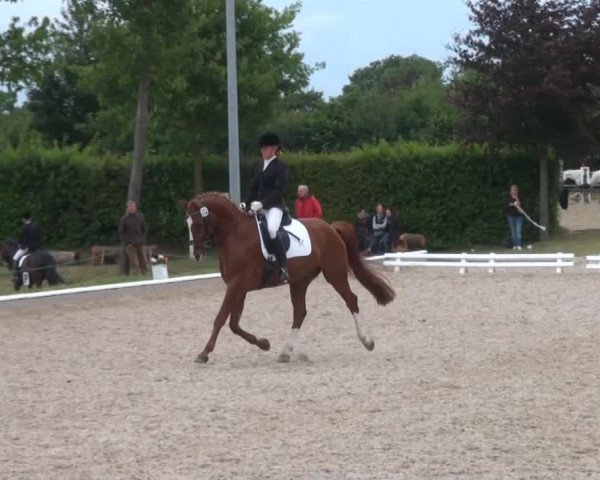 Sommerturnier Fröndenberg 2014
