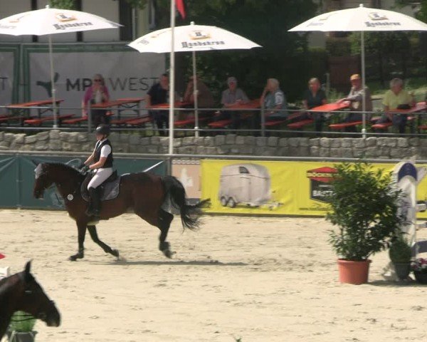 Reitturnier Görlitz 2025