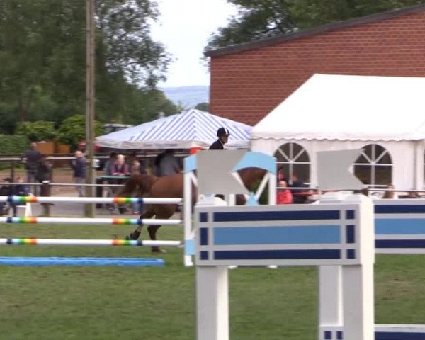 Großes Sommerturnier in Hille 2014