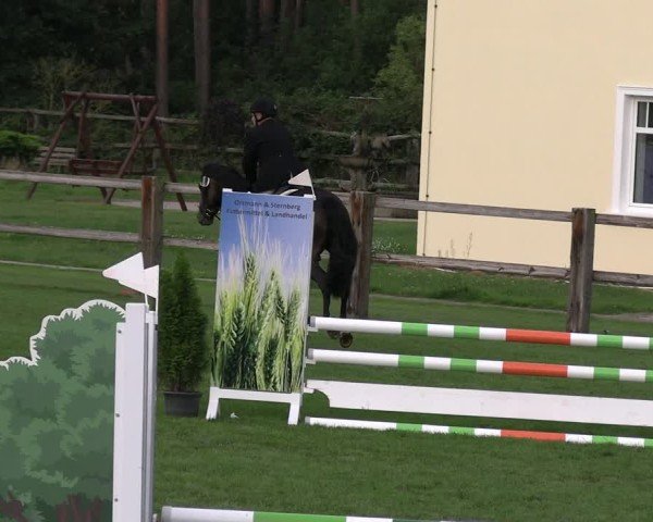Reitturnier Niemegk / Neuendorf 2025