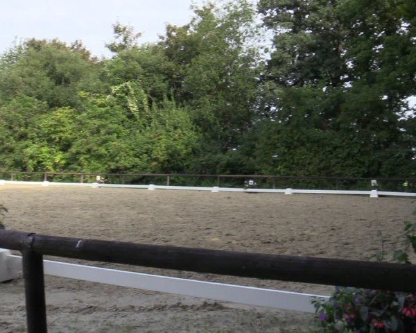 Reitturnier Marienheide-Kempershöhe 2025