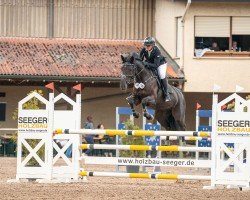jumper Uptown Girl's Spezi (German Sport Horse, 2018, from I'm Special de Muze)