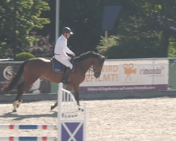 Reitturnier Heuchlingen 2025