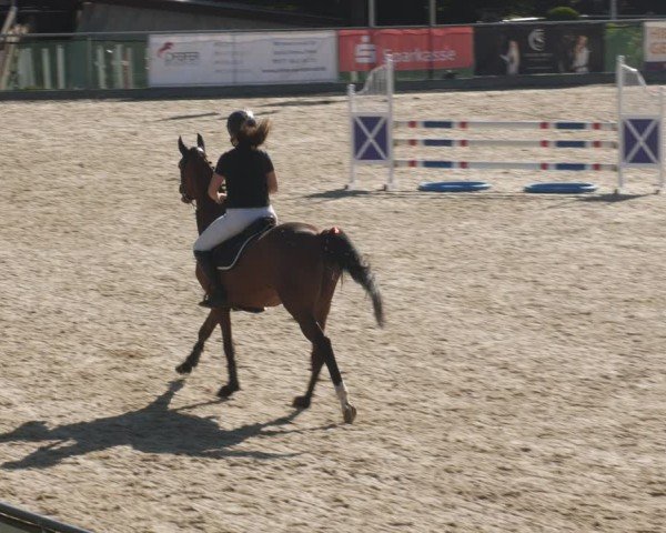 Reitturnier Heuchlingen 2025