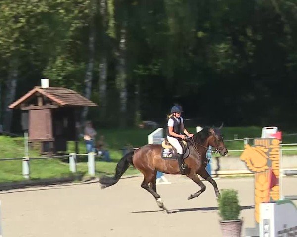Reitturnier Grafenrheinfeld/Ufr. 2025