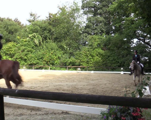 Reitturnier Marienheide-Kempershöhe 2025