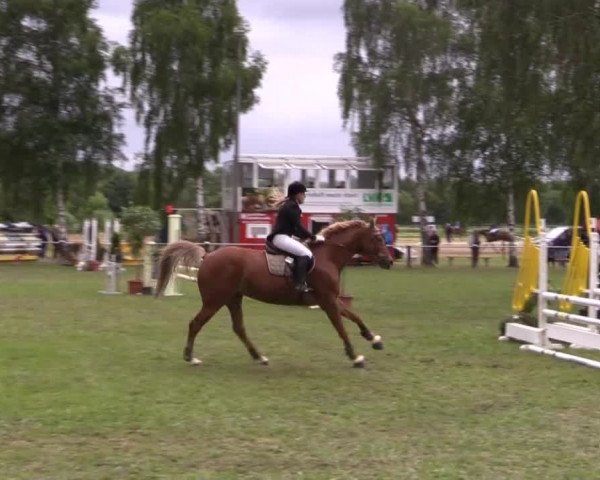 Großes Sommerturnier in Hille 2014