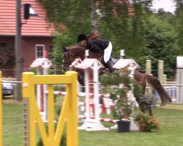 Großes Sommerturnier in Hille 2014