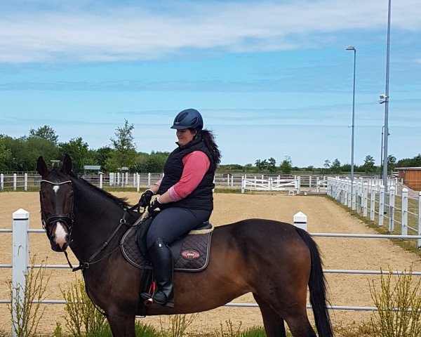 broodmare Mon Cherie S (Hanoverian, 2001, from Metternich)