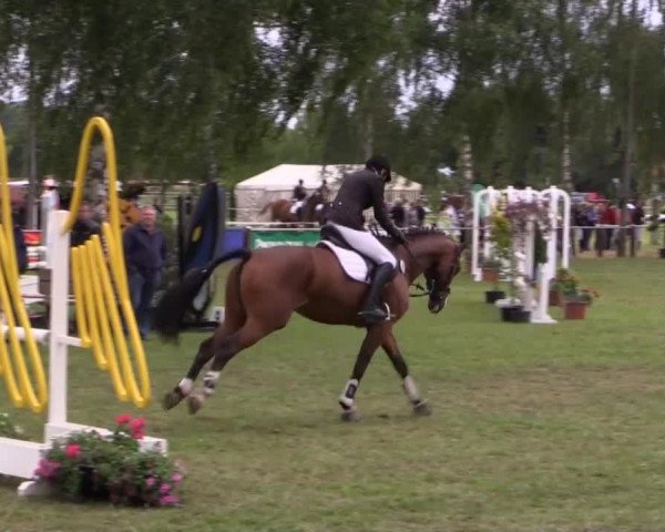 Großes Sommerturnier in Hille 2014