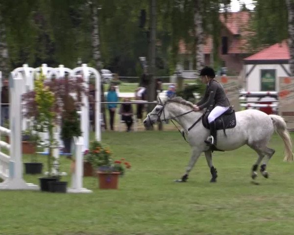 Großes Sommerturnier in Hille 2014