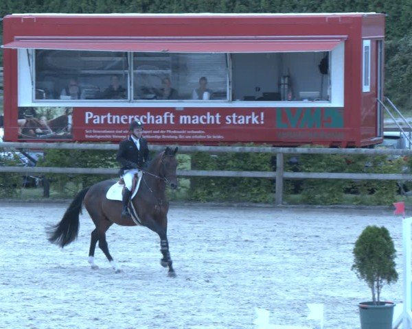 Reitturnier Münster-Amelsbüren 2025