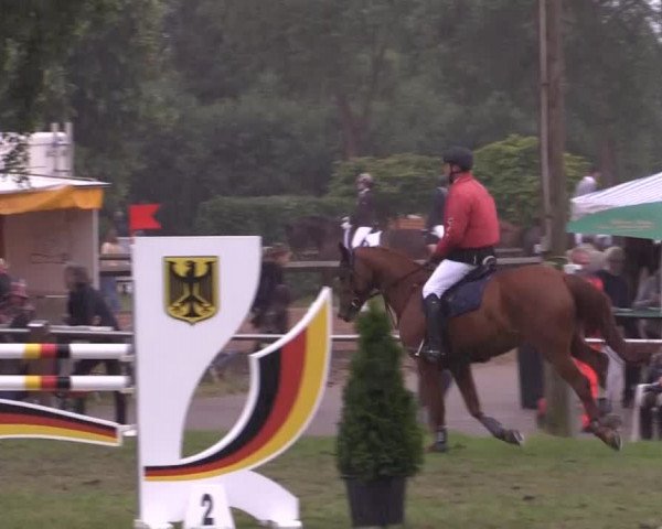 Großes Sommerturnier in Hille 2014