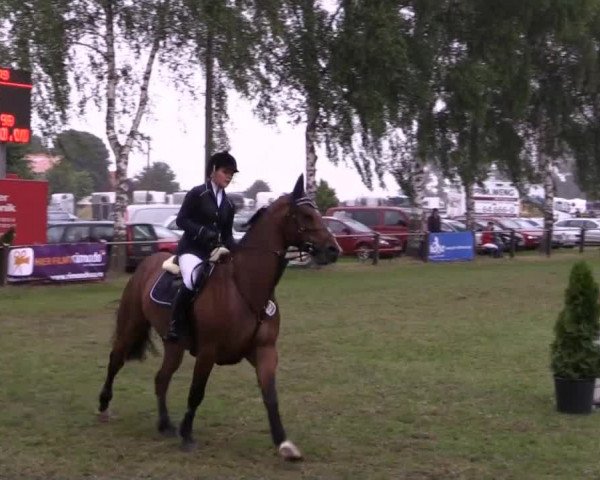 Großes Sommerturnier in Hille 2014