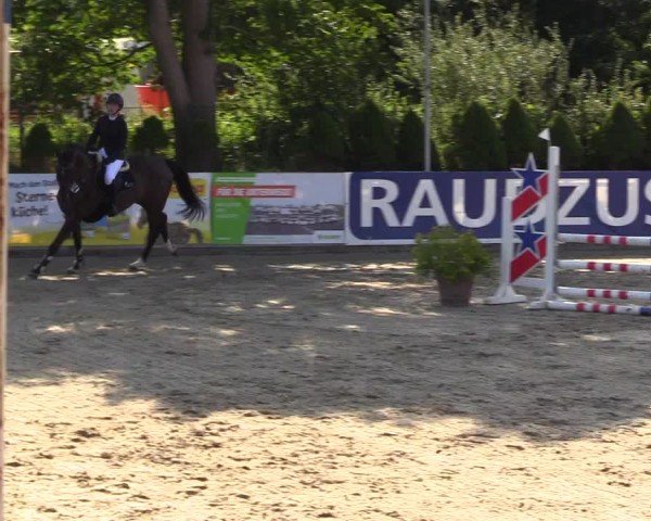 Reitturnier Behrendorf 2025