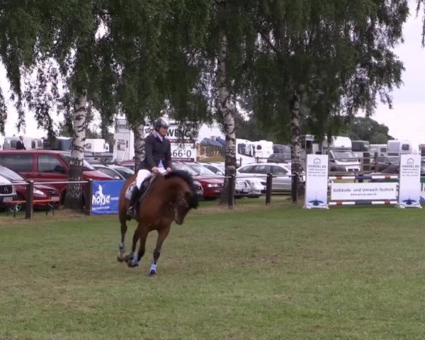 Großes Sommerturnier in Hille 2014