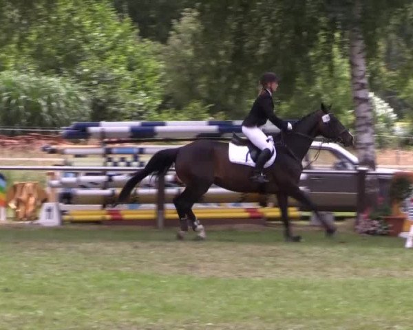Großes Sommerturnier in Hille 2014