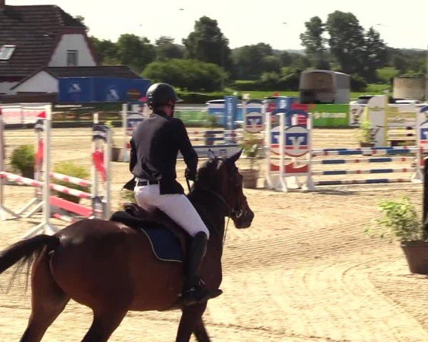 Reitturnier Behrendorf 2025