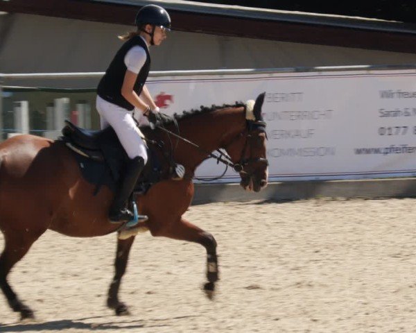 Reitturnier Heuchlingen 2025