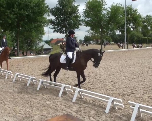 Sommerturnier Fröndenberg 2014