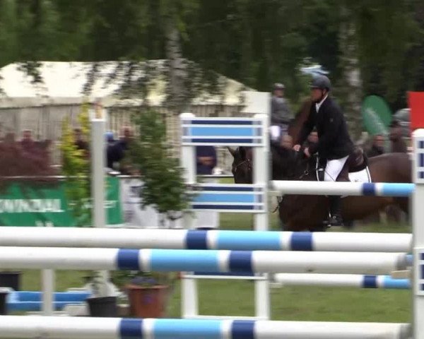 Großes Sommerturnier in Hille 2014
