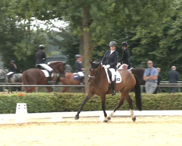 Reitturnier Seppenrade 2025