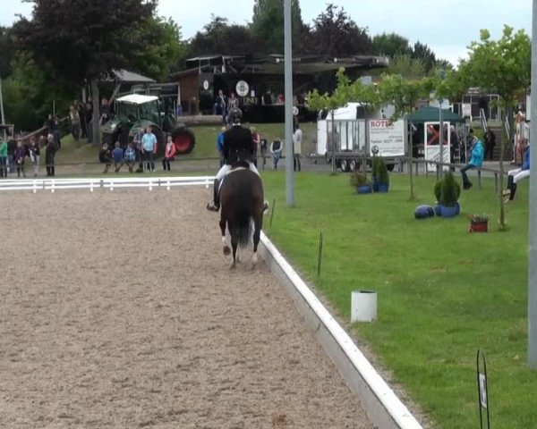 Sommerturnier Fröndenberg 2014