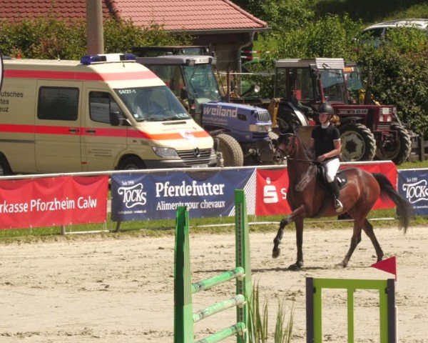 Reitturnier Oberderdingen 2025
