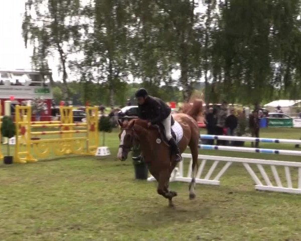Großes Sommerturnier in Hille 2014