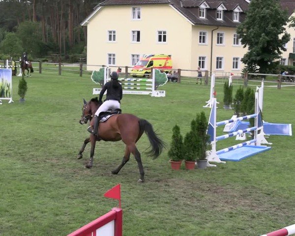Reitturnier Niemegk / Neuendorf 2025