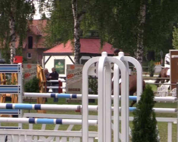 Großes Sommerturnier in Hille 2014
