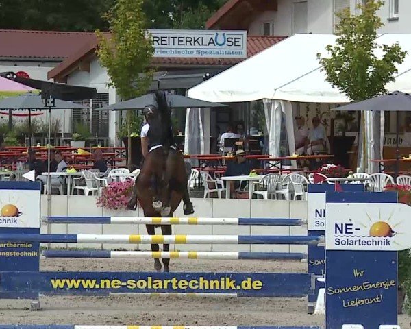 Reitturnier Grafenrheinfeld/Ufr. 2025
