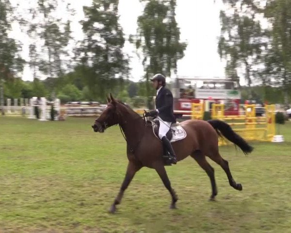 Großes Sommerturnier in Hille 2014