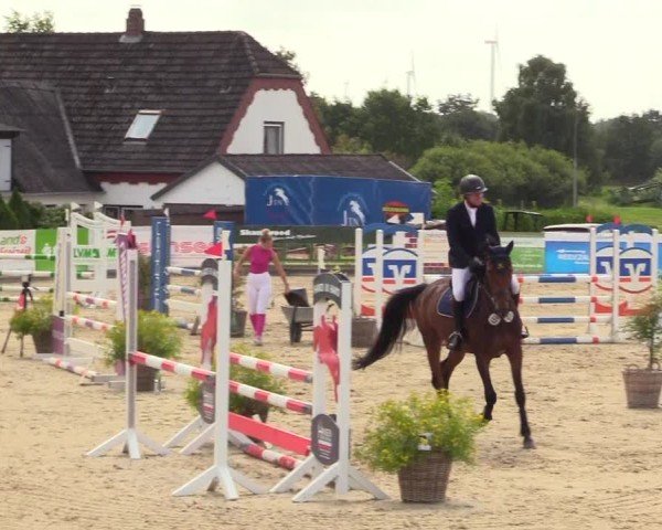 Reitturnier Behrendorf 2025