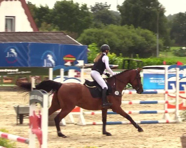 Reitturnier Behrendorf 2025