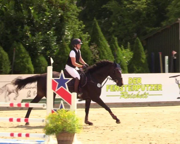 Reitturnier Behrendorf 2025