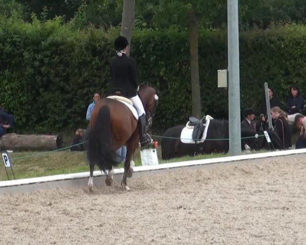 Sommerturnier Fröndenberg 2014