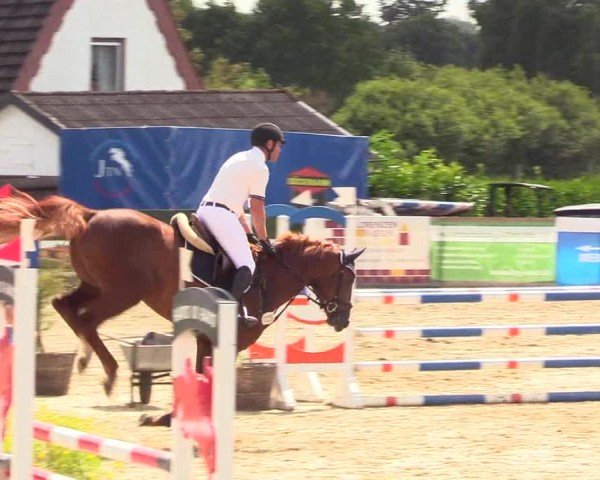 Reitturnier Behrendorf 2025