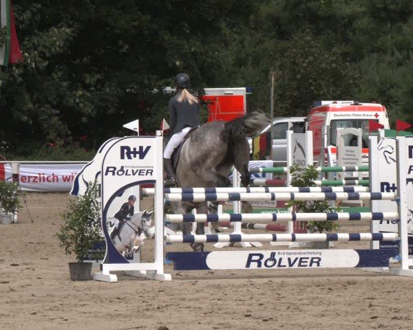 Reitturnier Velen 2025