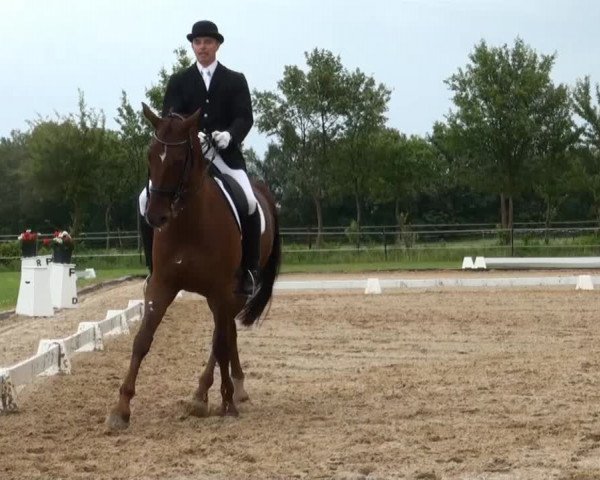 Großes Sommerturnier in Hille 2014
