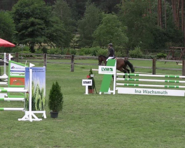 Reitturnier Niemegk / Neuendorf 2025